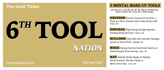 6TH Tool Banner