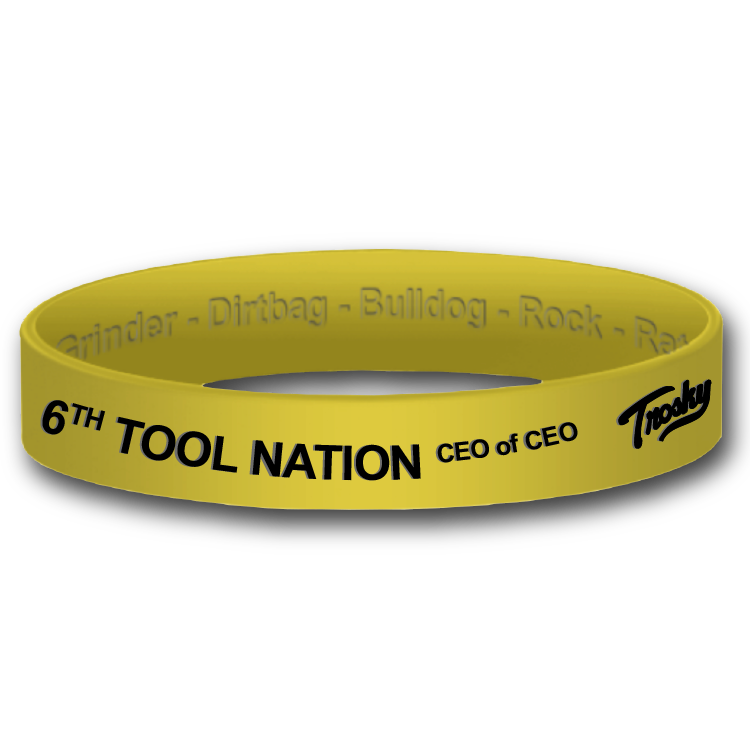 Load image into Gallery viewer, 6TH Tool Wristbands (set of 5)
