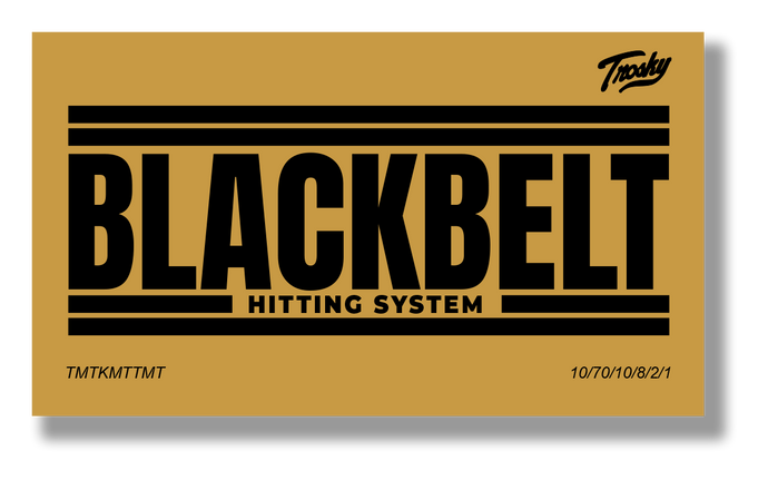 Black Belt Hitting System Mental Game Cards (20 individual cards!)