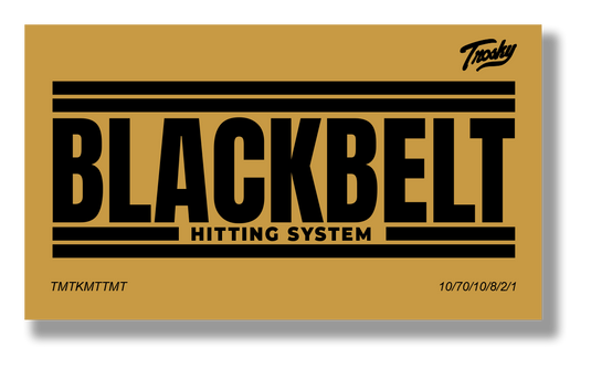 Black Belt Hitting System Mental Game Cards (20 individual cards!)