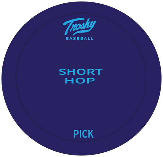 Trosky  26" x 26" Rebounder with Trosky Fielding Mat, Flat Cones (5 Hop Drill)