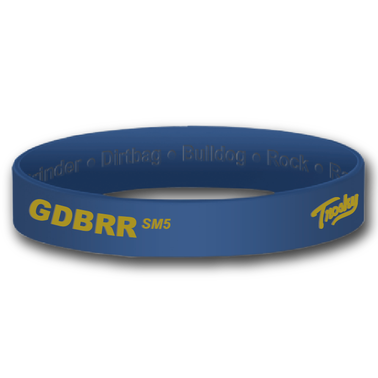 Load image into Gallery viewer, GDBRR Wristbands (set of 5)
