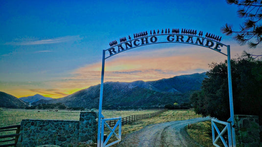 Trosky Father Son Development Adventure Camp - Rancho Grande Ojai CA 6/9/24 - 6/11/24 - 3 Days