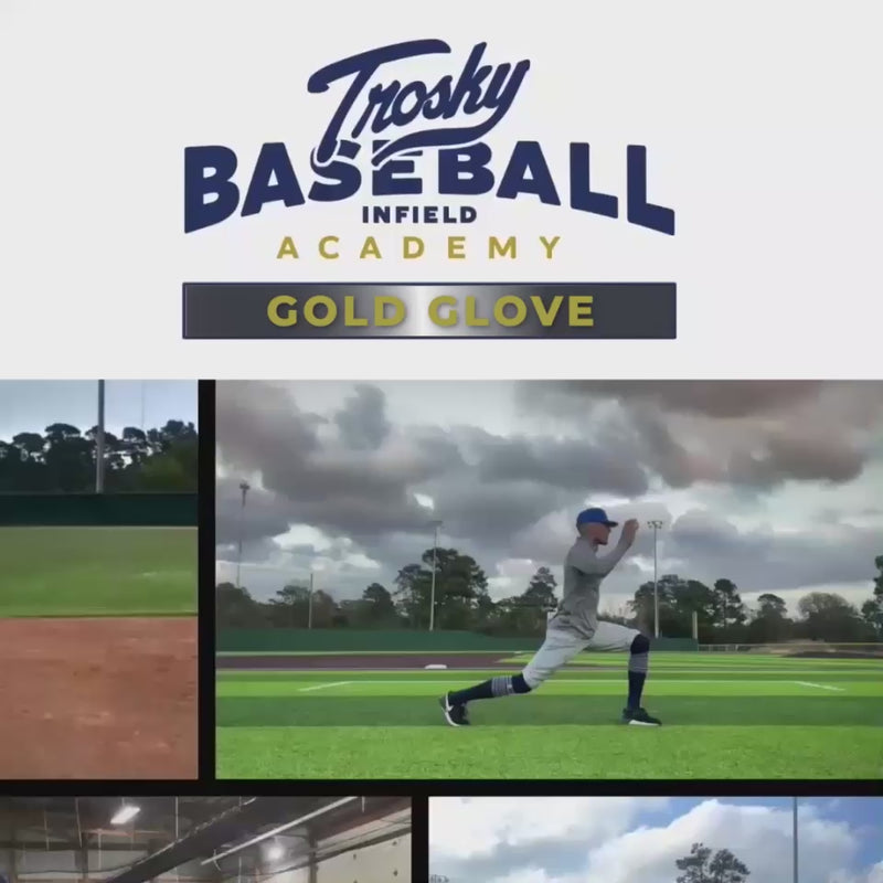 Load and play video in Gallery viewer, trosky gold glove
