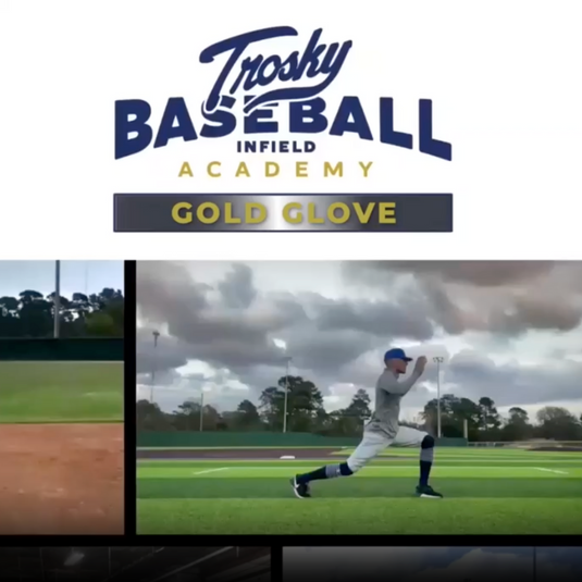 TROSKY GOLD GLOVE - INTRO COURSE